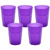 ENGELLAND - 5 x Purple Frosted Plastic Cups 400ml Calibration