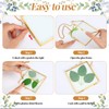 3pcs Pressed Flower Frames with Tweezers,Gold Wall Hanging Double Glass