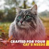 Emergency Zone - Cat Emergency Survival Kit - Bug Out,