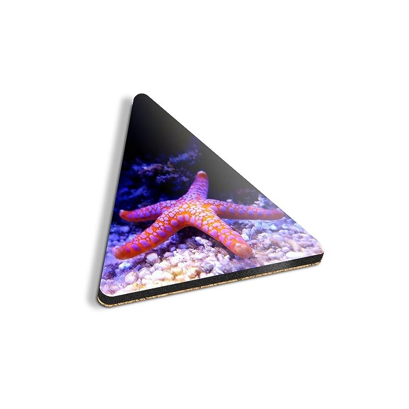1 x Triangle Coaster - Neon Starfish Ocean Sea Cork