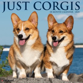 Willow Creek Press Corgis Monthly 2025 Wall Calendar (12" x 12")