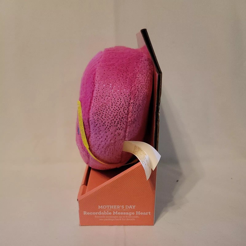 Way To Celebrate. Mothers Day #1 Mom Recordable Message. Plush
