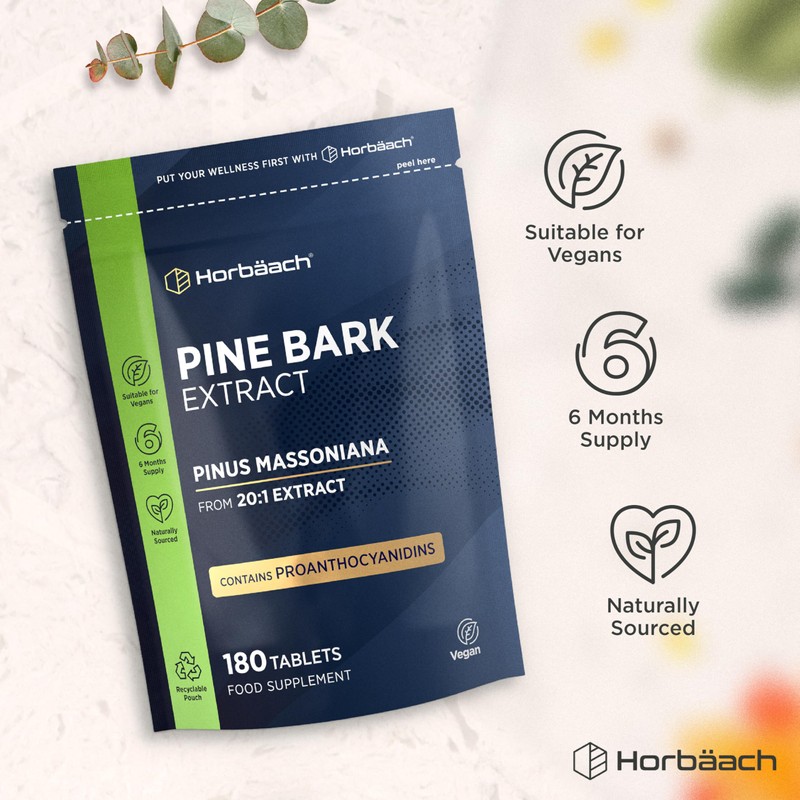 Pine Bark Extract 400mg | Providing Proanthocyanidins | Naturally Sourced
