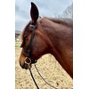 ZAVVIT Biothane® Reins - Closed Reins with Scissor Carabiner. 2.98