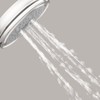 Croma 100 Classic Handshower 3-Jet, 2.5 GPM