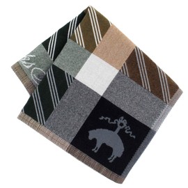 Brooks Brothers 125468-0001-02 Men's Handkerchief (Green) for Cleaning Glasses and LCD Screen (Green) [Microfiber] Business Men's Handkerchief, 9.4 inches (24 cm), green