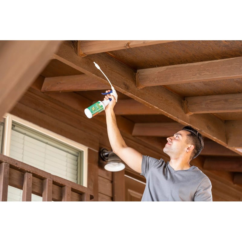 Donaldson Farms Carpenter Bee Killer 16 oz Natural Foaming Spray