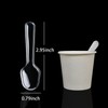 100 Pcs 2.95 Inch Disposable Clear Plastic Mini Spoons, Tasting
