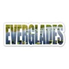 Squiddy Everglades Florida - Vinyl Sticker Decal for Phone, Laptop, Water Bottle (4" Wide)