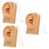Baluue 3sets Decorative Ear Model for Jewelry Display Multi-function Earring