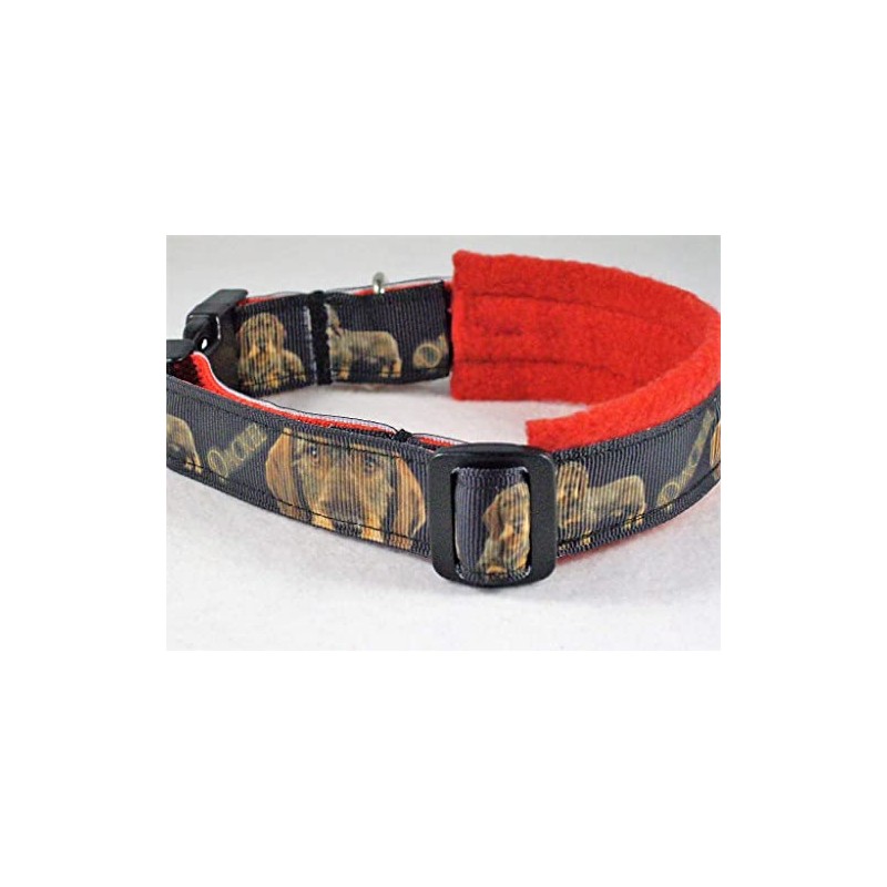 Halsband Rauhaardackel Größe SM 35-40 cm Halsumfang