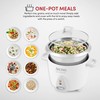 Aroma Housewares Select Stainless Rice Cooker & Warmer with Uncoated