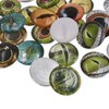 10 Pairs 40mm Glow in The Dark Glass Lizard Eyes