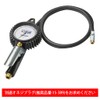 Michelin (ミシュラン) Air Gauge Eurodyne 70～1,200 (KPa) No.1991 STRAIGHT/15-01991