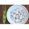 Prajet Crystal Natural Howlite Tumbled Stones 100 Grams White Howlite