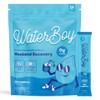 Waterboy Electrolyte Drink Mix for Adults Sugar-Free 24 Servings Variety