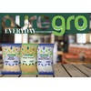 Puregro Everyday Essential Spices Combo Pack | 300g Each |