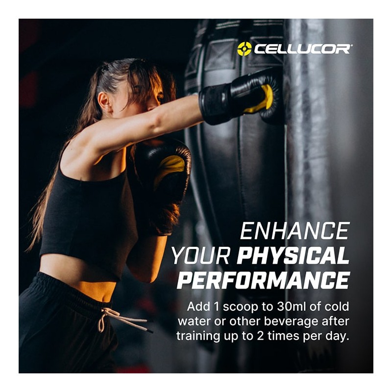 Cellucor Cor-Performace Creatine
