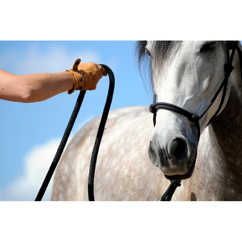 Hunters Saddlery Natural Horsemanship Rope Halter Headcollar Compatible with Parelli