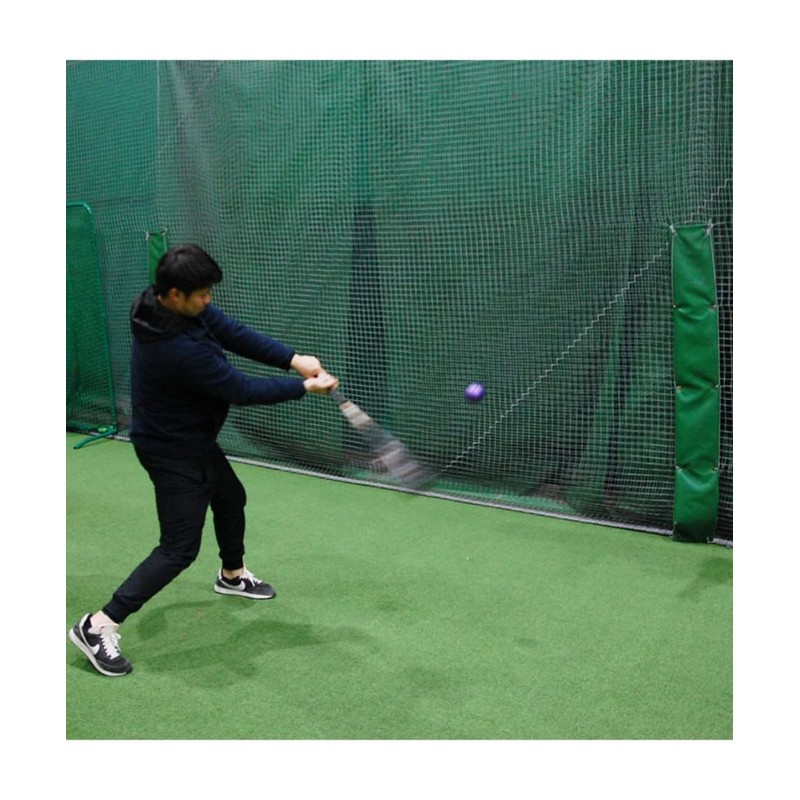 FIELDFORCE Baseball Practice Equipment, Impact Powerball, 10.6 oz (300 g)