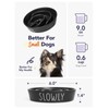 Ceramic Slow Feeder Dog Bowls Small Breed, 0.6 Cups Dog