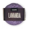 Volviendo al Origen Champú Sólido Lavanda 2 De 120g Volviendo