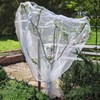 Zippered Caterpillar Sleeve, Milkweed Plant Netting, Garden Netting Plant Covers