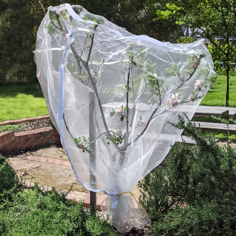 Zippered Caterpillar Sleeve, Milkweed Plant Netting, Garden Netting Plant Covers