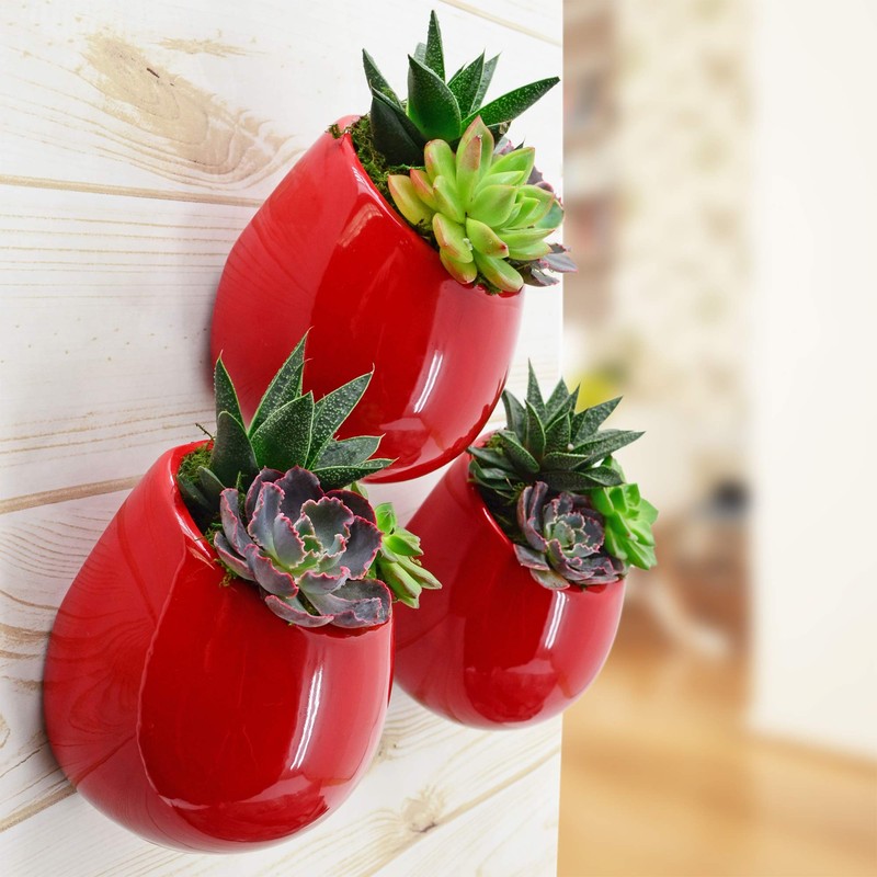 Arcadia Garden Products WP26 Small Round Wall Planter 3-Pack-Red