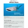 DAYOFF Fish Design Mask Strap Cover for Diving Mask Snorkeling