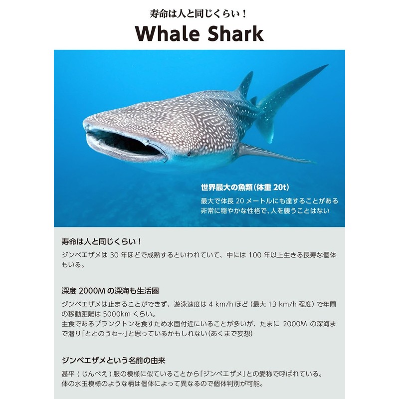 DAYOFF Fish Design Mask Strap Cover for Diving Mask Snorkeling