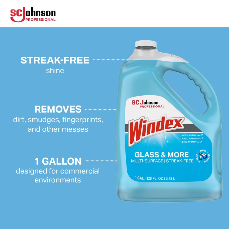 SC Johnson Professional Windex Glass and More Multi-Surface Cleaner, Windex