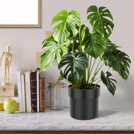 Flower Pot Diversion Safe with Key Lock - Hidden Lock Box for Valuables, Cash, Jewelry, Keys, Rings - Secret Hiding Spot (Black, Plants Not Included)