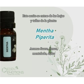 Aceite Esencial Menta 100% Natural Y Puro 11 Ml
