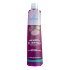 Shampoo De Cebolla Shelo Antioxidante Fuerza Vitalidad 530ml
