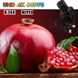 SVPRO 4K 60fps HDMI USB Zoom Camera USB3.0 Manual Focus Webcam with 2.8-12mm Optical Zoom Lens,Zoom in and Out HD Industrial Camera H.264 60fps 4K Streaming Camera for PC,Raspberry Pi,TV,Monitor
