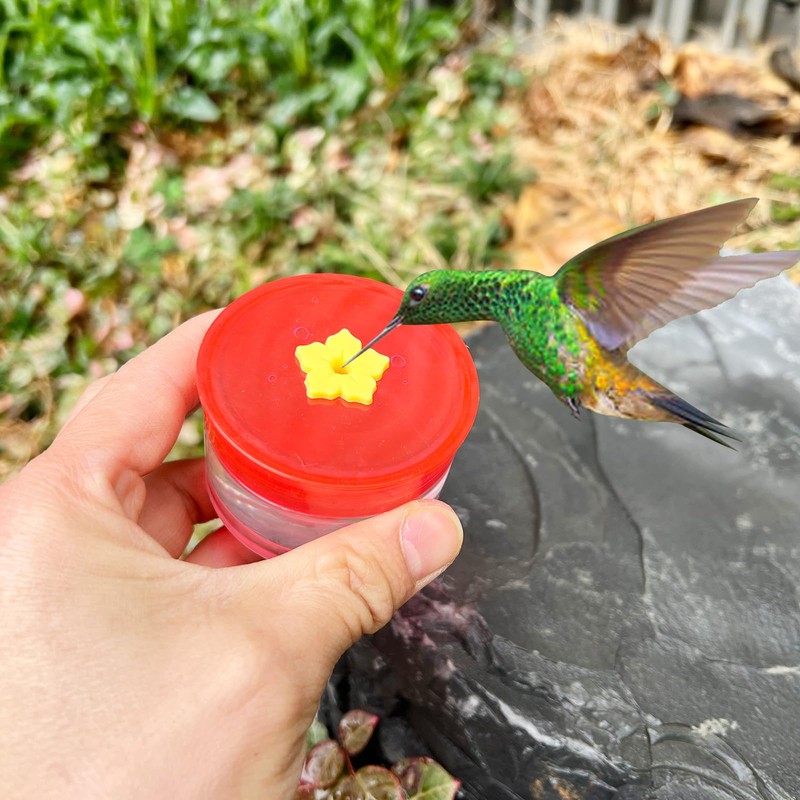 3-in-1 Suction Cup Hummingbird Feeder for Window, Outdoor Hanging
