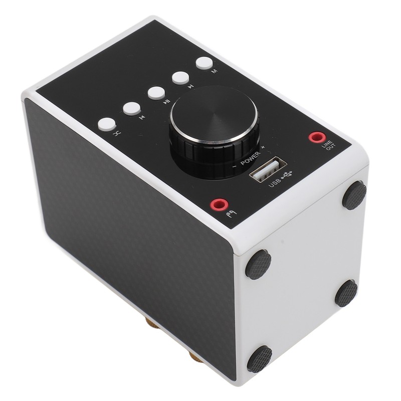 200W Bluetooth 5.0 Amplifier HIFI Stereo Sound Digital Amp Wireless