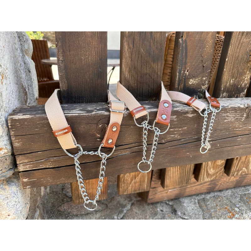 Martingale Pull Stop Collar for Dogs with Chain and Leather