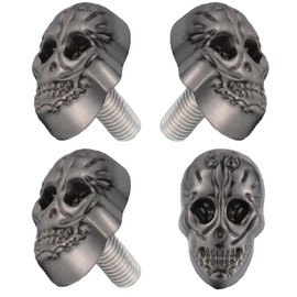 Lunsom License Plate Fasteners Screws Caps, Skull Shape License Plate Screws Fastener Kit Decorative License Plate Bolt,4PCS,Titanium Color