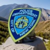NYPD Police Vinyl Sticker Car truck Window Decal NYPD