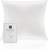 Natural Silk Pillowcase Hypoallergenic 22 momme 100% Silk 600 Thread