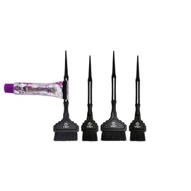 Professional Hair Dye Applicator Brush with Squeezer (2 Small, 2 Large), Hair Color Brush Set, Chemical-Resistant, Highlight Brush,Color Brush for Hair Salon