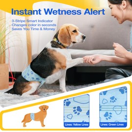 Flying Paws Male Nappies Pack of 26 M, Disposable Nappies with Wetness Indicator, Super Absorbent & Leak-Proof Belly Bands for Incontinence Dog Nappies for Male Dogs