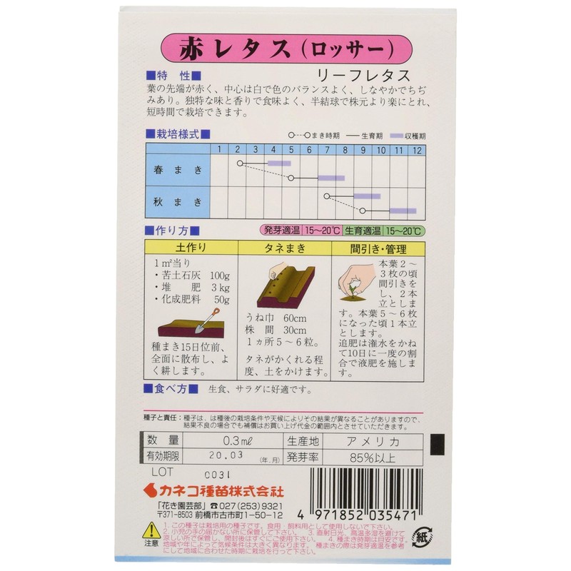 KS100 Series 547 Kaneko Seedlings Gardening Seeds Seeds Sunny Lettuce,