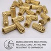 SKIR'CO (Pack of 10) Brass Drop in Anchor M14 x