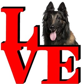 Belgian Tervuren Love Park Cute Dog Fridge Refrigerator Car Magnet