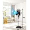 BLACK+DECKER 16 Inches Stand Fan with Pedestal Base, Height Adjustable