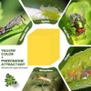 Qualirey Yellow Sticky Traps for Indoor & Outdoor Plants