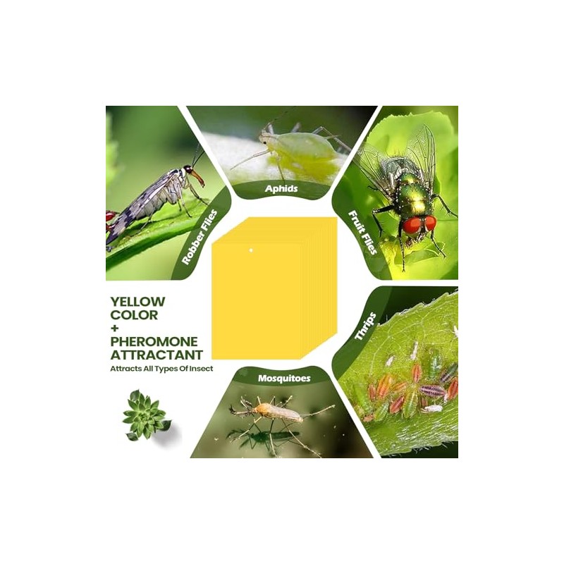 Qualirey Yellow Sticky Traps for Indoor & Outdoor Plants